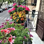 A Casa Di Amelie