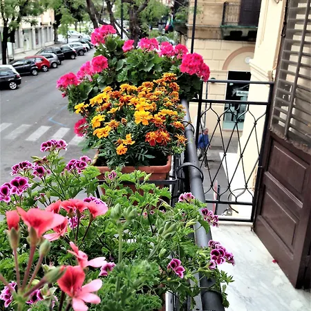 A Casa Di Amelie
