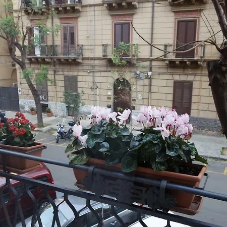 A Casa Di Amelie *